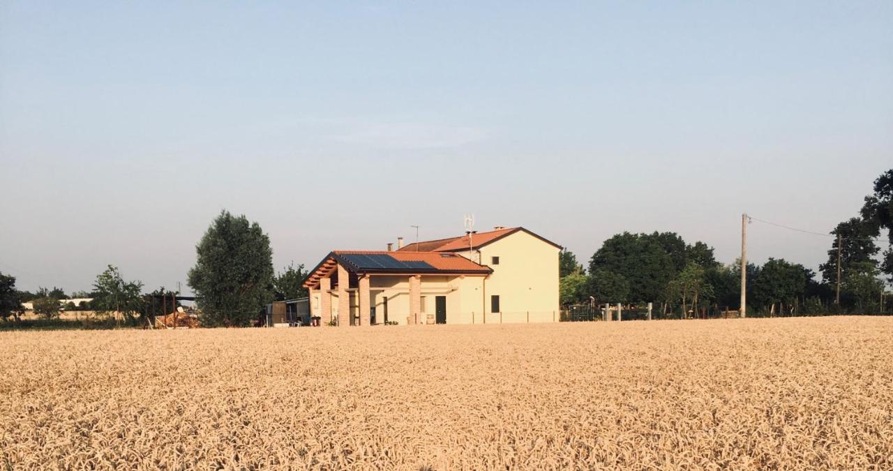 B&B Casa Egle Corbola Екстериор снимка